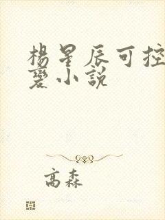 杨星辰可控核聚变小说