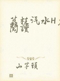 荔枝汽水H免费阅读