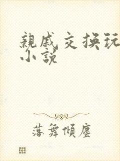 亲戚交换玩美妇小说