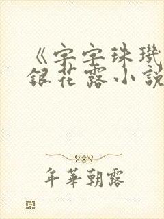 《字字珠玑》金银花露小说