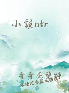 小说ntr