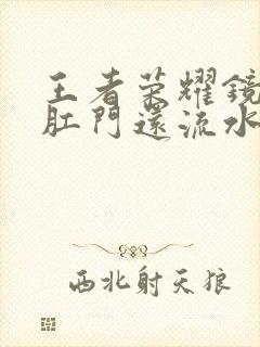 王者荣耀镜被捅肛门还流水