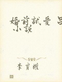 婚前试爱 吕颜 小说