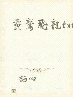 灵鹫飞龙txt
