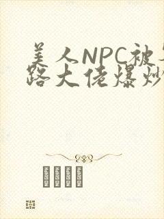 美人NPC被各路大佬爆炒小说