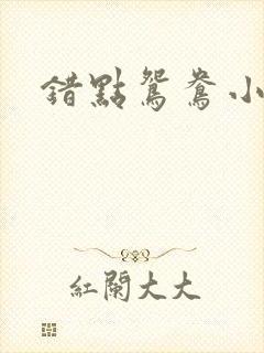 错点鸳鸯小说