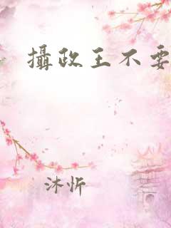 摄政王不要