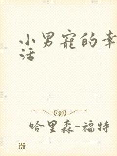 小男宠的幸福生活