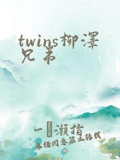 twins柳泽兄弟