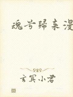 魂兮归来漫蒹葭