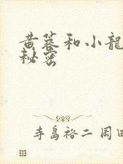 黄蓉和小龙女的秘密