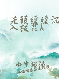 老头缓缓沉腰进入校花h