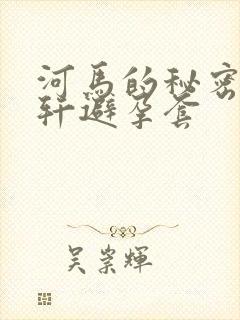 河马的秘密河文轩避孕套