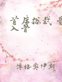 首席总裁 爱你入骨