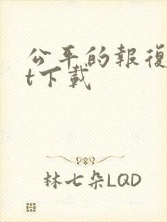 公平的报复txt下载