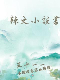 辣文小说书包网