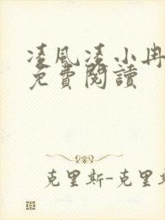 凌风凌小冉全文免费阅读