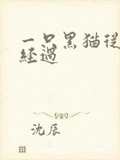 一只黑猫从眼前经过
