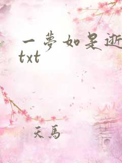 一梦如是逝水长txt