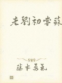 老刘初尝苏荷媳