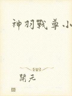 神羽战尊小说