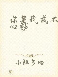 你是我戒不掉的心动