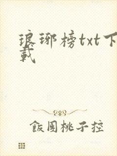 琅琊榜txt下载