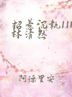 招惹沉执11H林清然