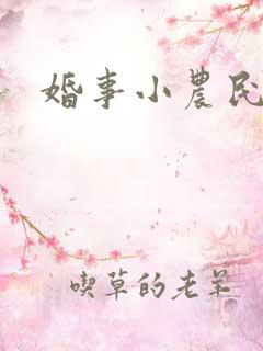 婚事小农民
