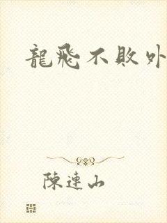 龙飞不败外传