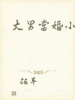 大男当婚小说