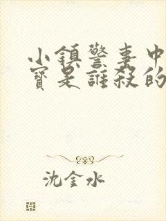 小镇警事中张镇宝是谁杀的