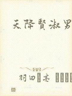 天降贤淑男小说