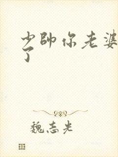 少帅你老婆又跑了