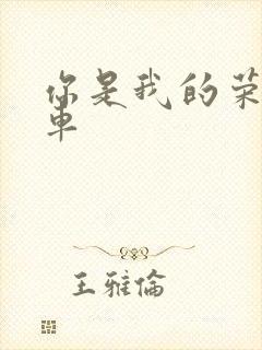 你是我的荣耀肉车