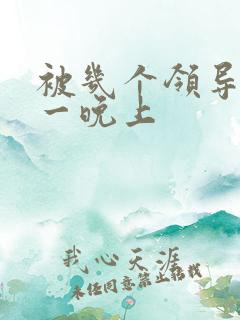 被几个领导玩弄一晚上