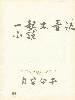 一起又看流星雨小说