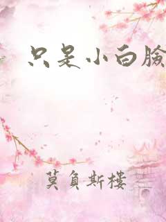 只是小白脸