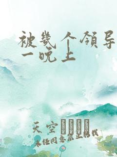 被几个领导玩弄一晚上