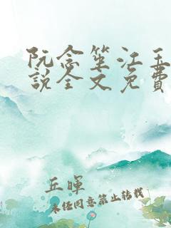 阮念笙江玉楼小说全文免费阅读