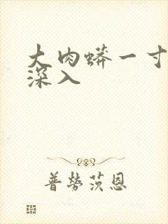 大肉蟒一寸寸地深入