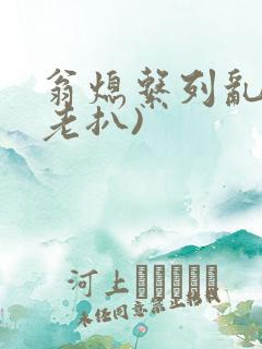 翁熄系列乱 (老扒)