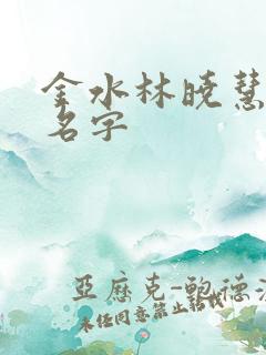 金水林晓慧小说名字