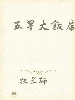 五星大饭店小说