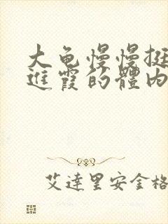 大龟慢慢挺进王进霞的体内