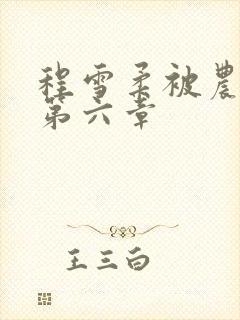 程雪柔被农民工第六章