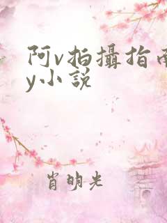 阿v拍摄指南by小说
