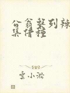 公翁系列辣文全集借种