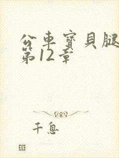 公车宝贝腿开点第12章