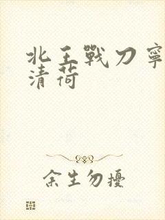 北王战刀宁北苏清荷